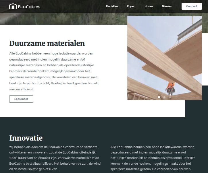 Website preview