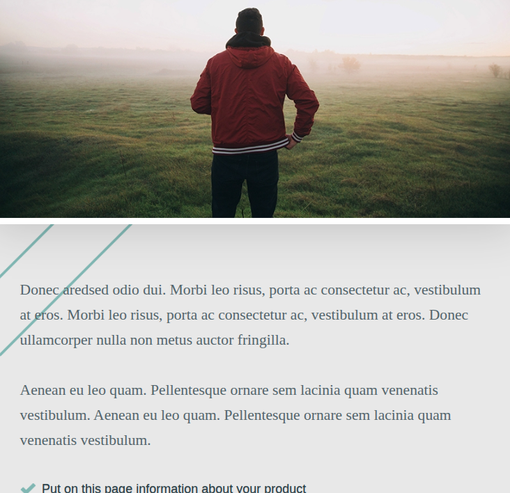 Website preview